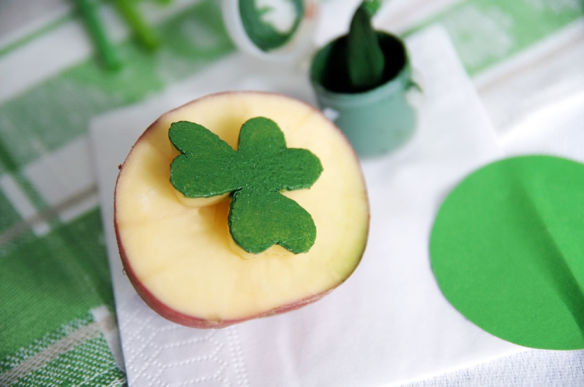 Happy clover potato stamp for St-Patrick's decoration
