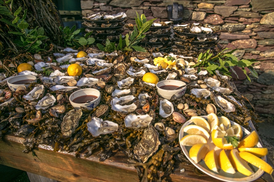 eating oysters things to do in galway