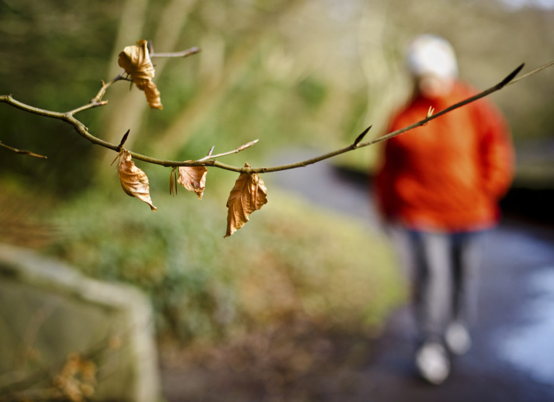 Ireland in November Weather, Packing, Festivals and More