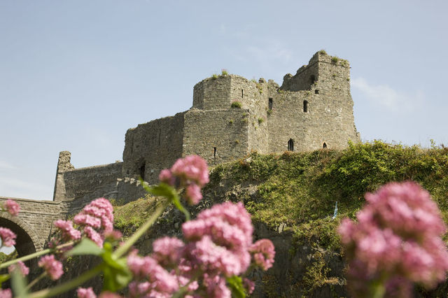 Castle in Carlingford