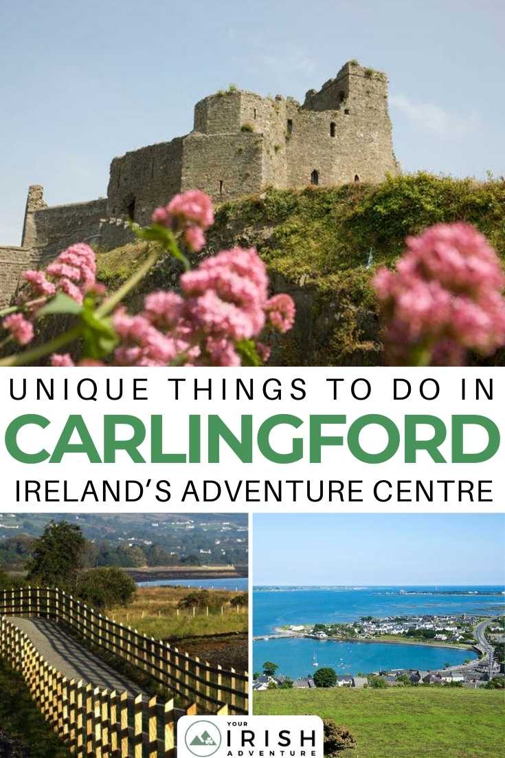 Unique Things To Do in Carlingford: Ireland’s Adventure Centre