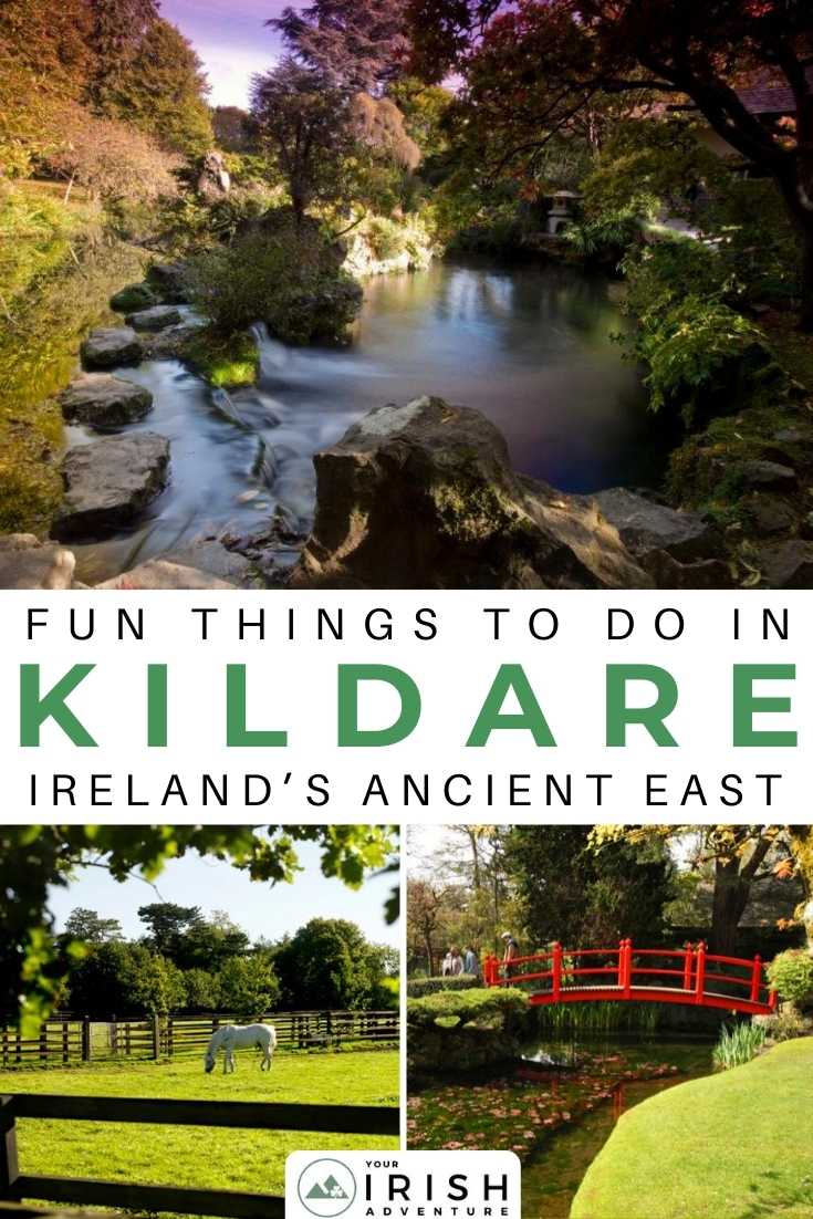 Fun Things To Do in Kildare: Ireland’s Ancient East