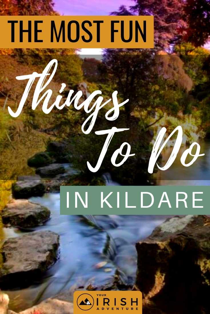 The Most Fun Things To Do in Kildare