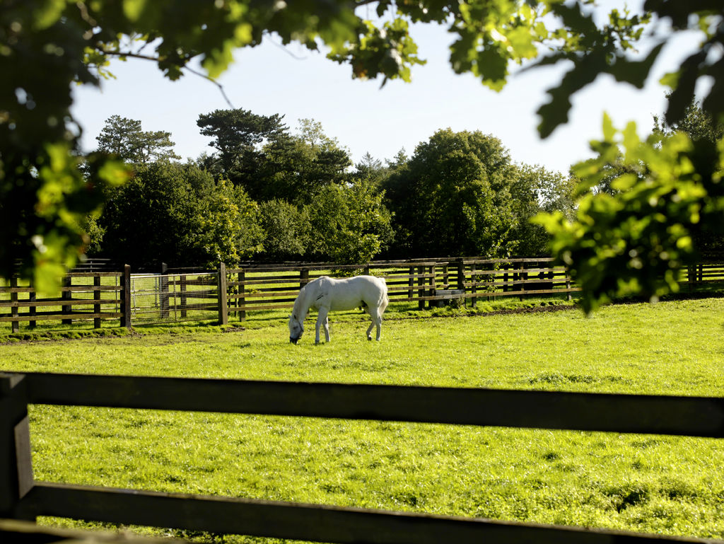 National Stud kildare