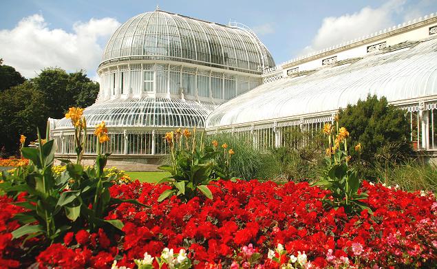 The glasshouse in Belfast's Botanic Gardens