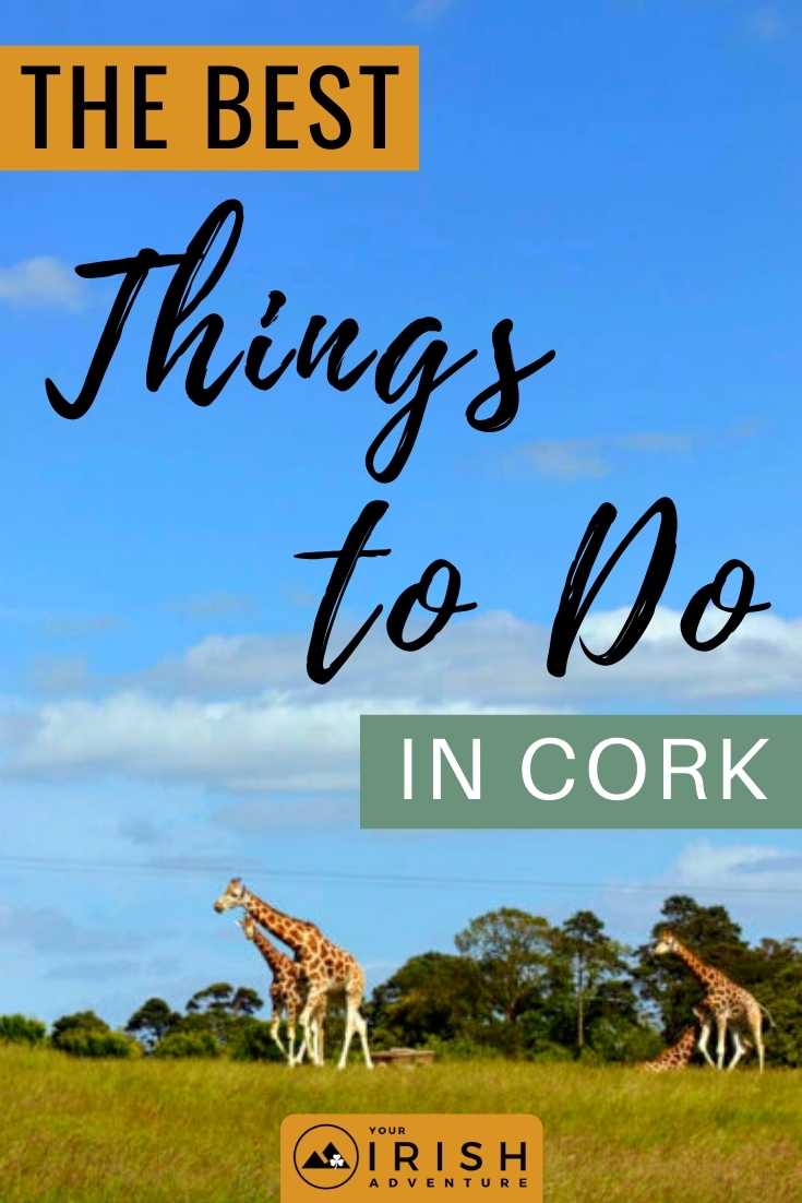 The Best Things To Do in Cork