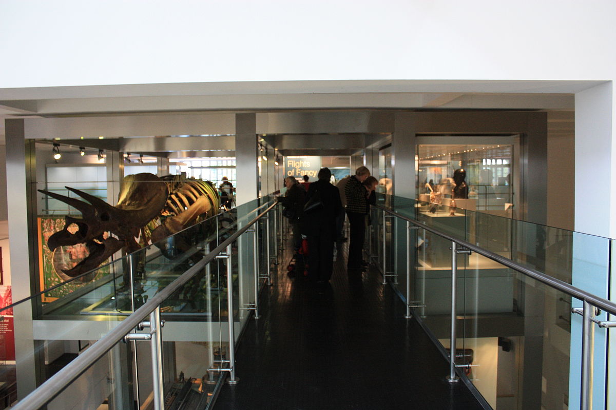 Interior of Ulster Museum