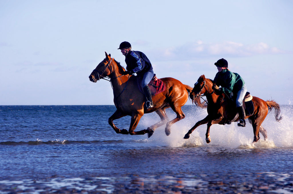 horse riding murlough strand