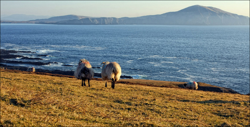 Wild Atlantic Way Itinerary