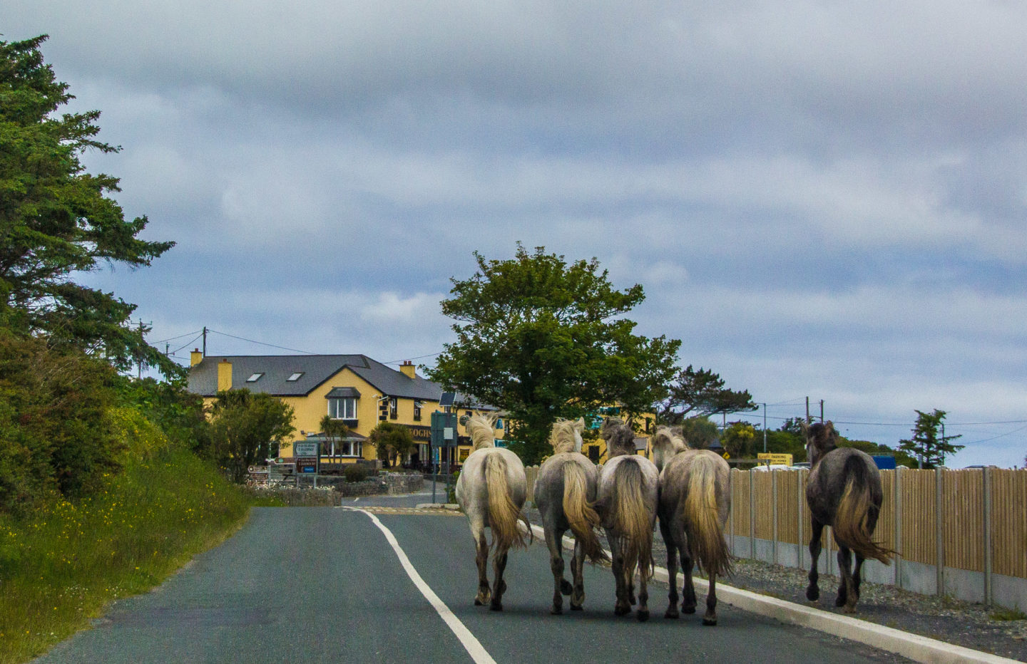 wild atlantic way road trip 4 days