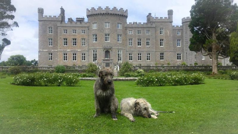How Many Castles Are In Ireland?