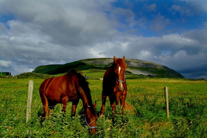 17 Fun Things To Do in Sligo – Ireland’s Underrated Adventure Capital