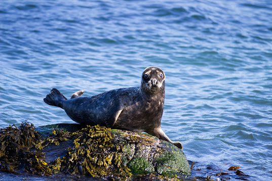 A Photographer's Definitive Ireland Road Trip - Your Irish Adventure