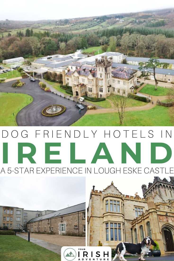 Dog Friendly Hotels In Ireland