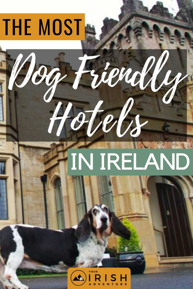 https://youririshadventure.com/wp-content/uploads/2019/02/The-Most-Dog-Friendly-Hotels-In-Ireland.jpg