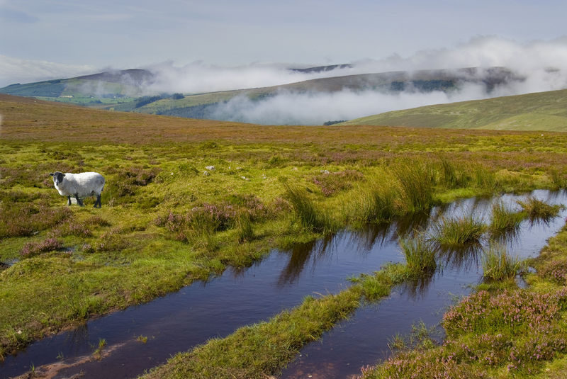 Best Hikes in Tipperary