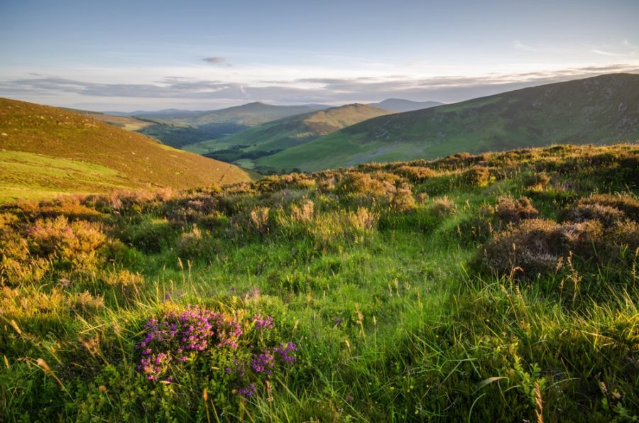 wicklow national park ireland