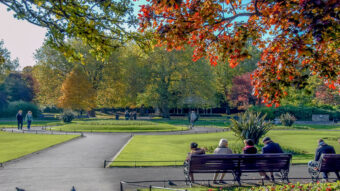 autumn in dublin