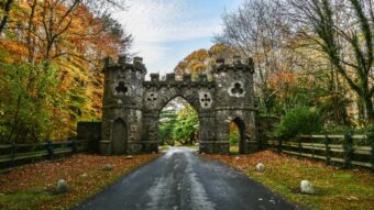 belfast in the autumn with a castle entrance gate and colourful leaves