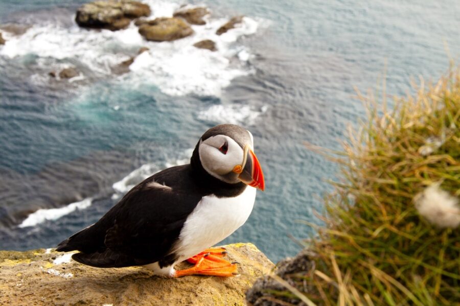 things to do in ireland visit the skellig islands