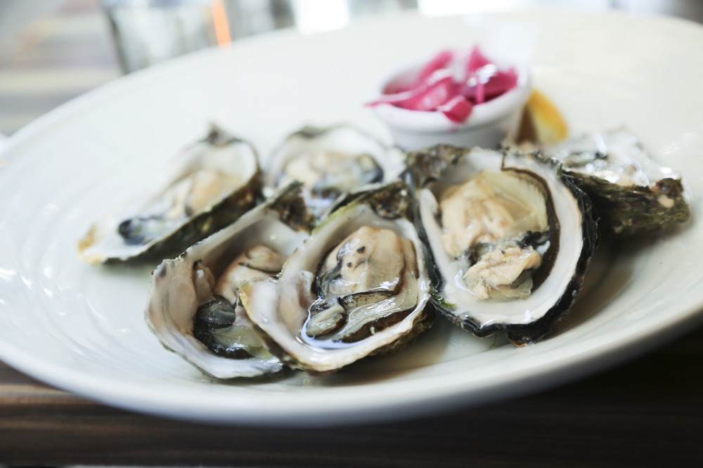 visiting galway eating oysters