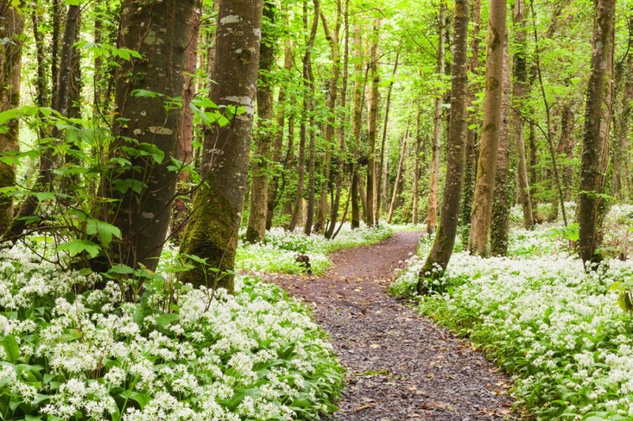 hike near galway in oranmore