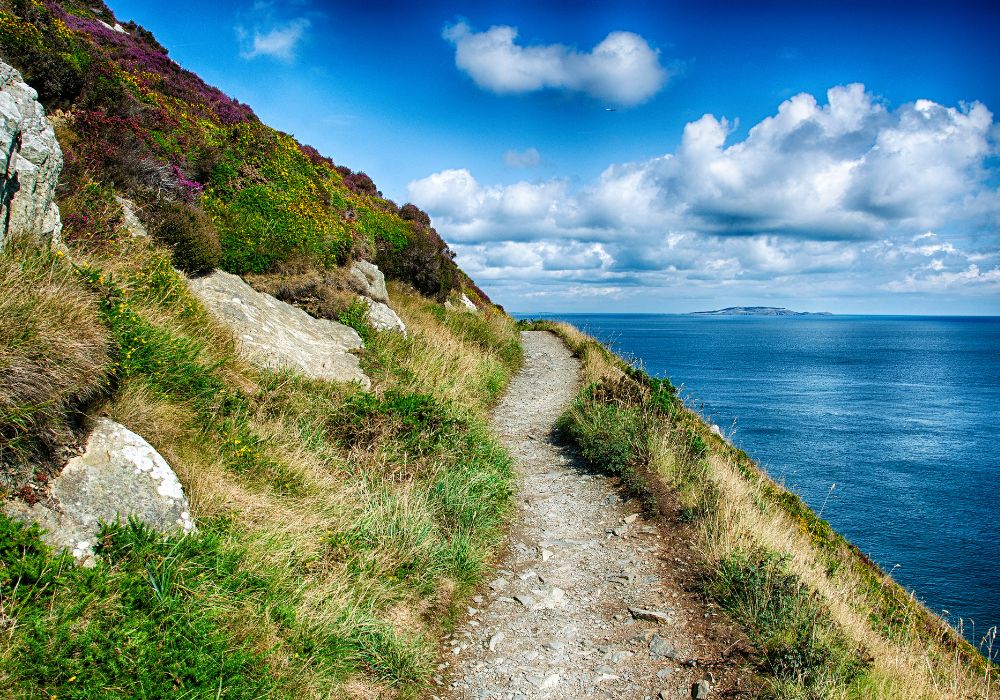 Cliff walk at Howth.
