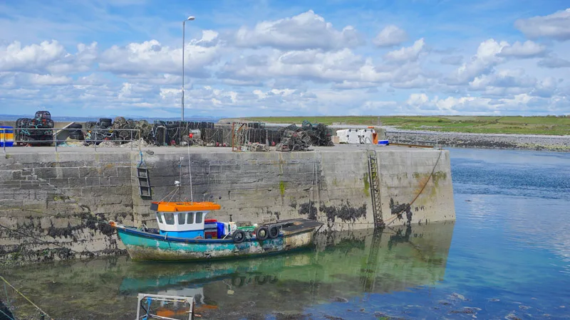 28 Unique Things To Do in Clare: Ireland's Foodie Trail