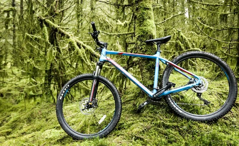 Mountain Biking in Northern Ireland