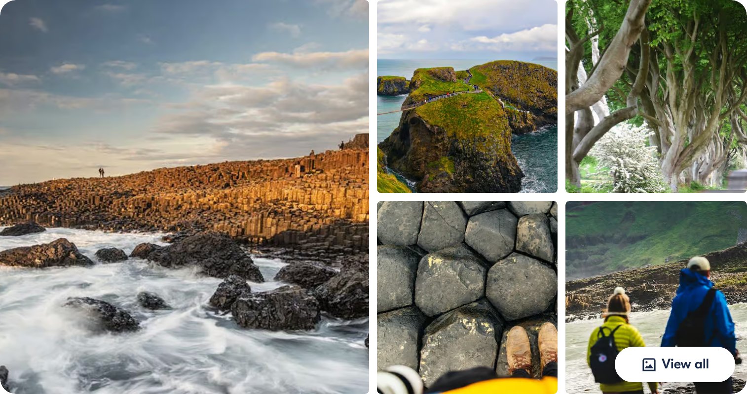 Afternoon Giant's Causeway Half-Day Tour from Belfast