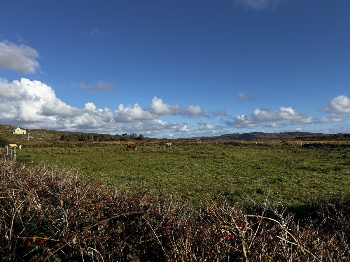 Fields and distant coastline near Clifden in Connemara