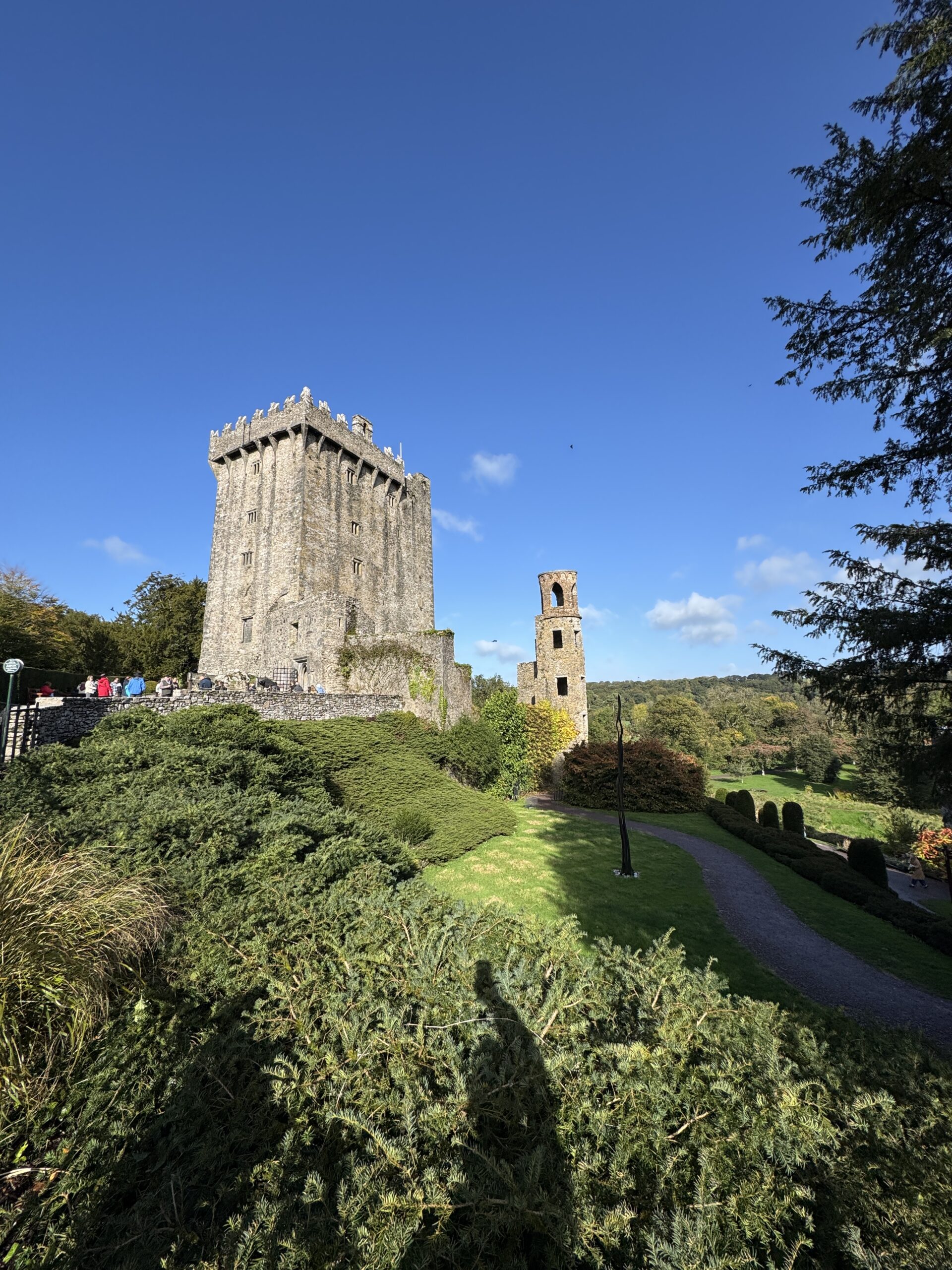 Blarney Castle and ruined tower on a sunny day, County Cork, Ireland
