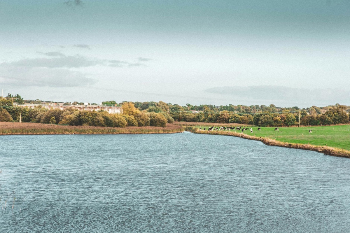 County Cork Ireland