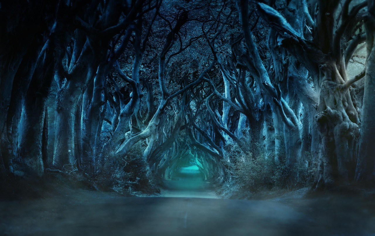 The Dark Hedges beech avenue lit by moonlight at night, Northern Ireland