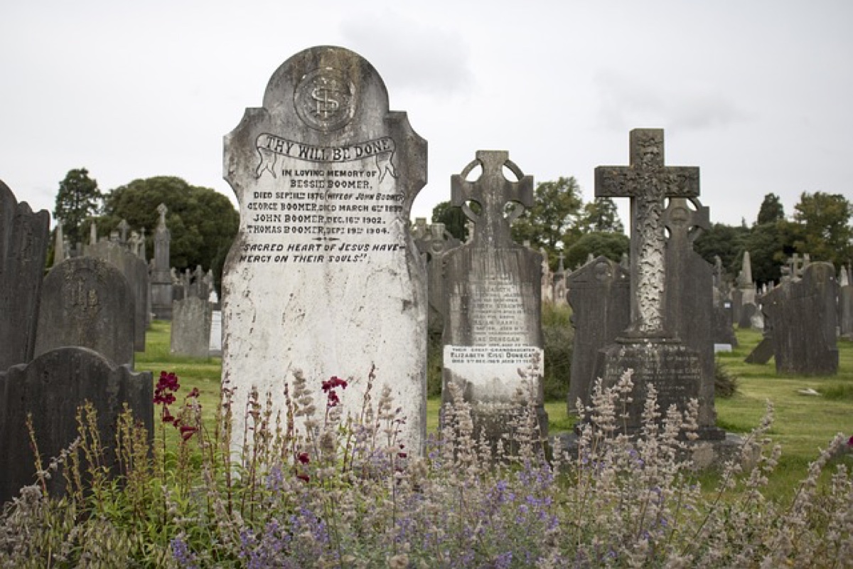 Glasnevin Cemetery and Museum