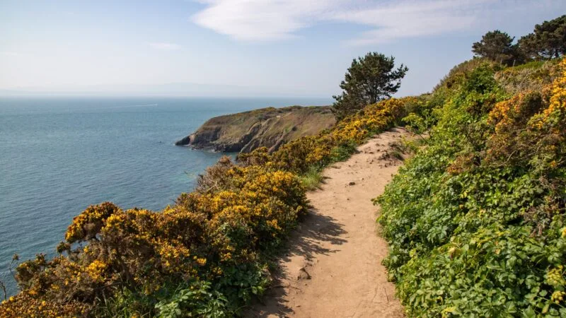 7 Best Hikes Near Dublin