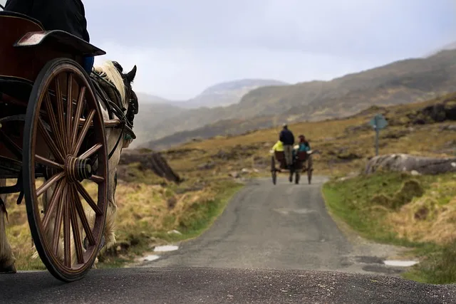 15 Things to Do in Killarney