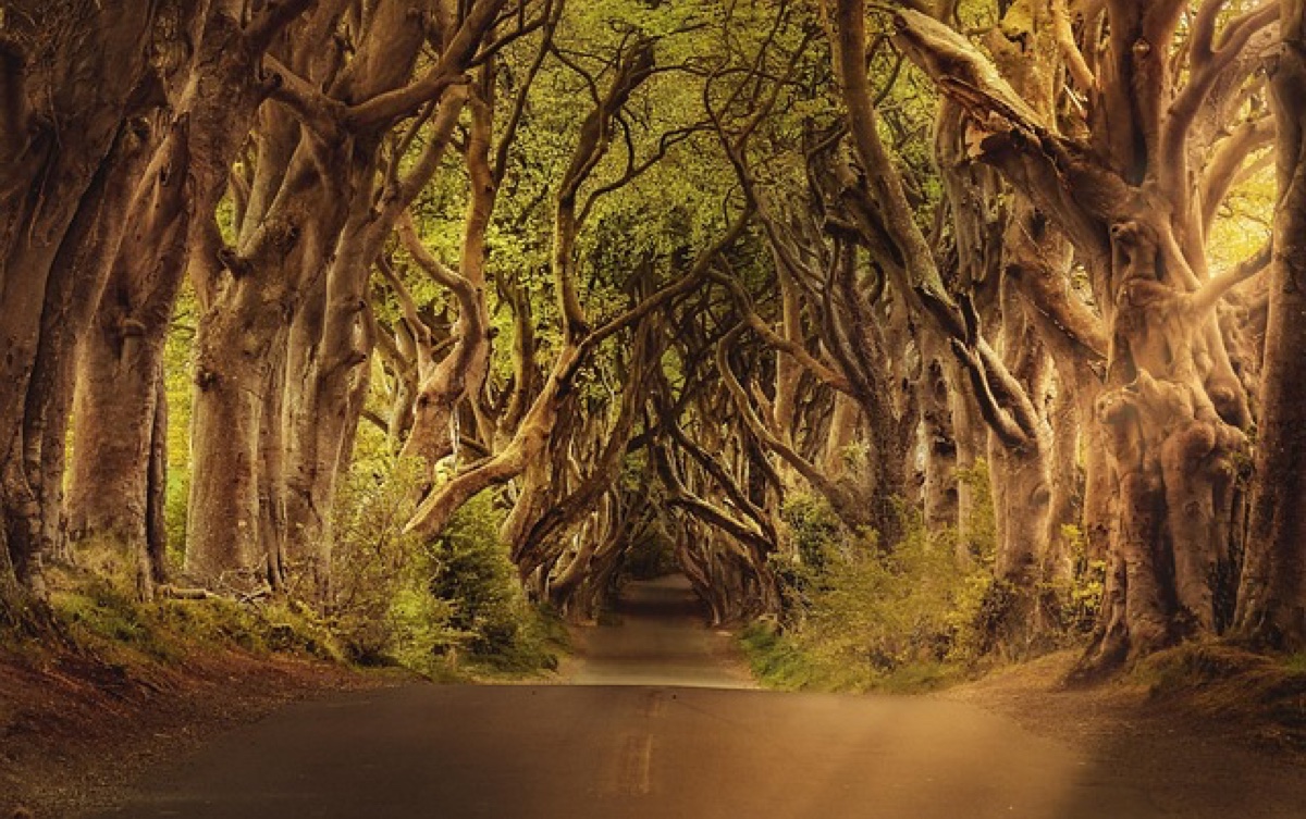 ireland travel budget costs