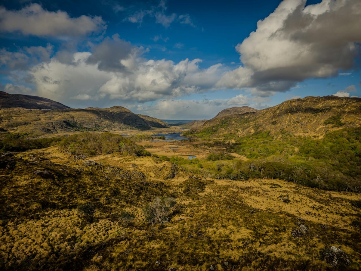 ladies view's sweeping panorama over the lakes of killarney, kerry