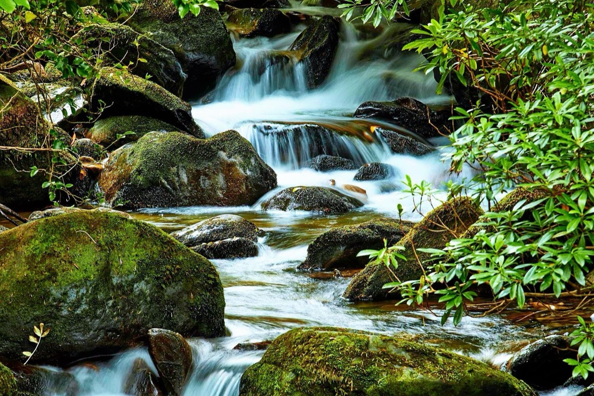 water nature killarney killarney killarney killarney killarney killarney