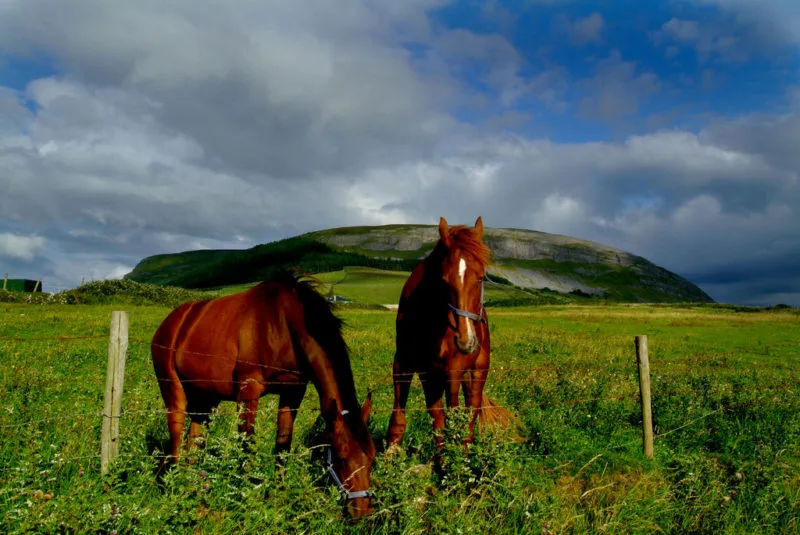Things to Do in Sligo