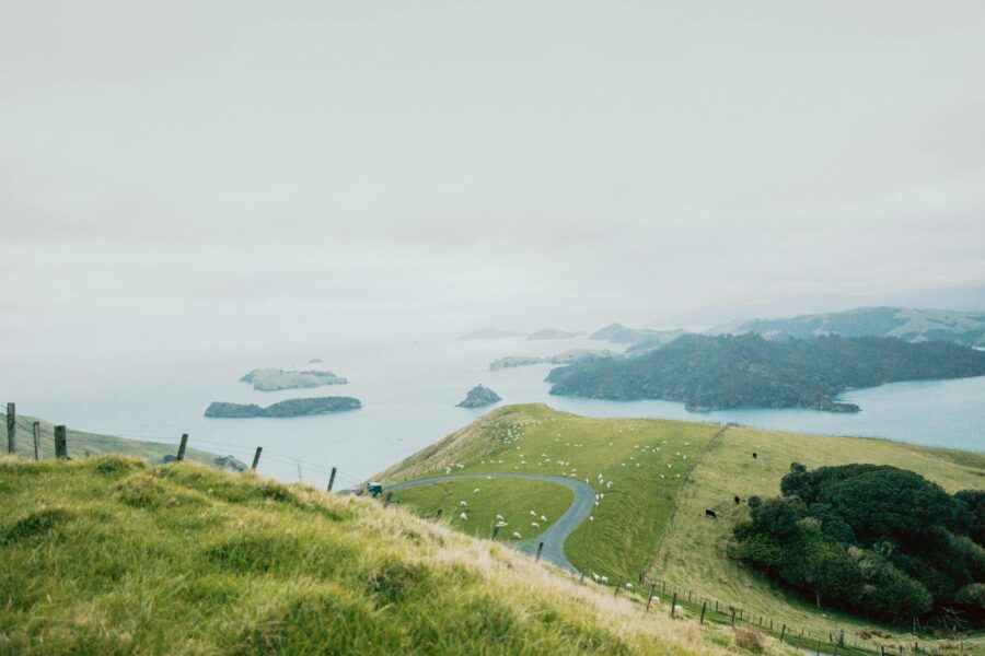 Breathtaking view of the Coromandel Peninsula with lush greenery and ocean backdrop.