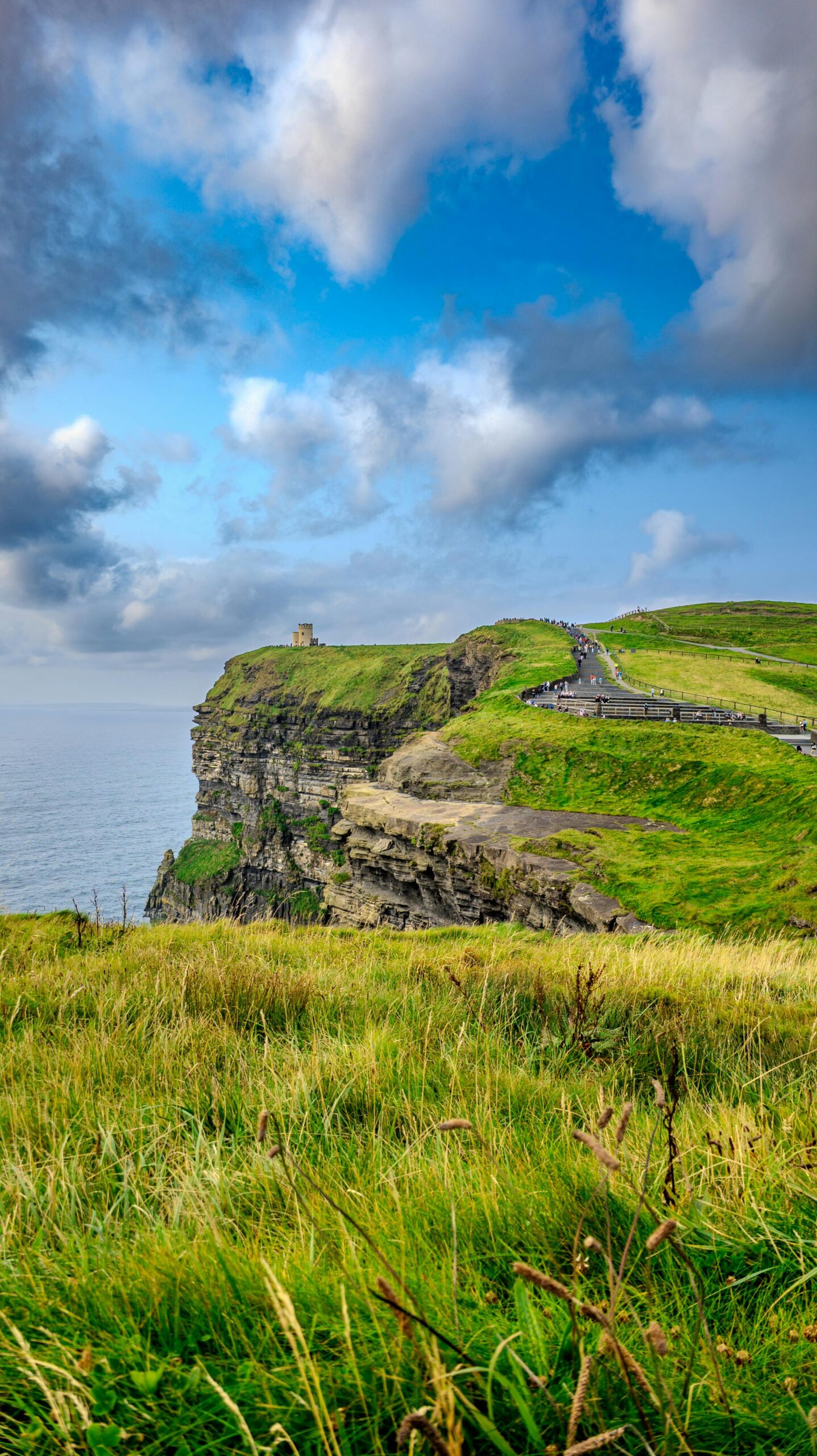 Dramatic view of the Cliffs of Moher with lush green fields meeting the ocean under a bright sky.