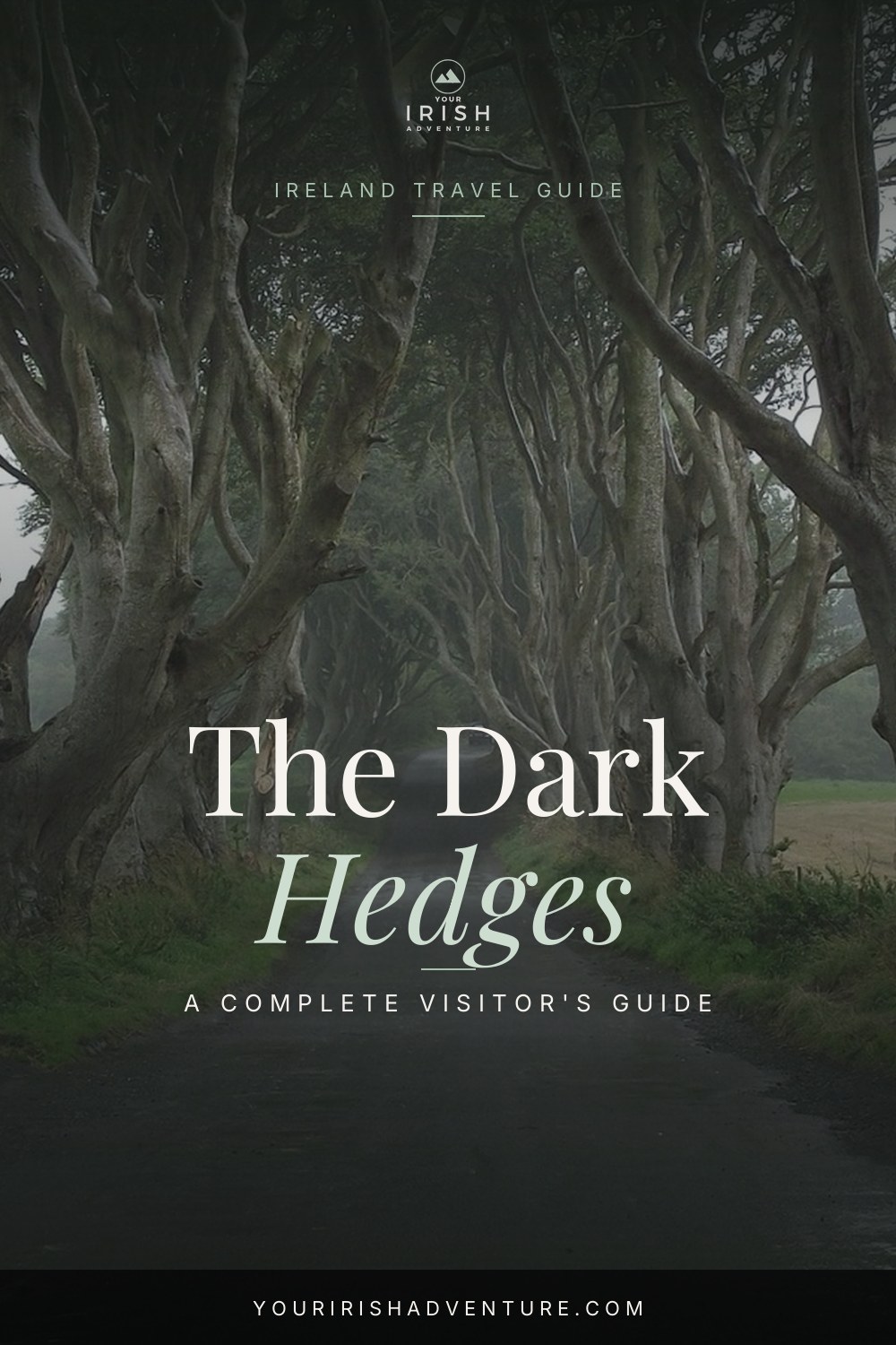 The Dark Hedges (Game of Thrones): A Visitor’s Guide — Pinterest pin