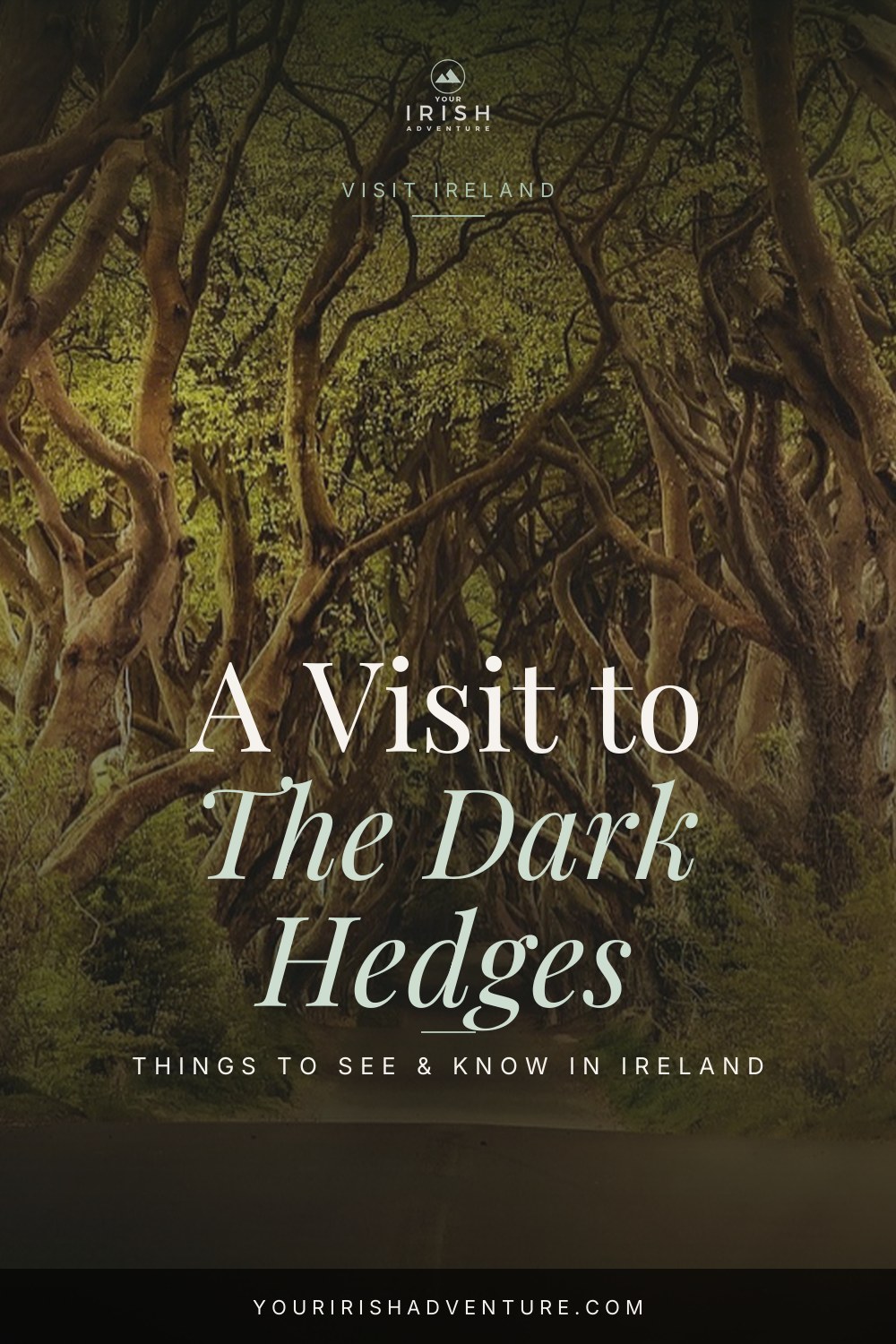 The Dark Hedges (Game of Thrones): A Visitor’s Guide — Pinterest pin