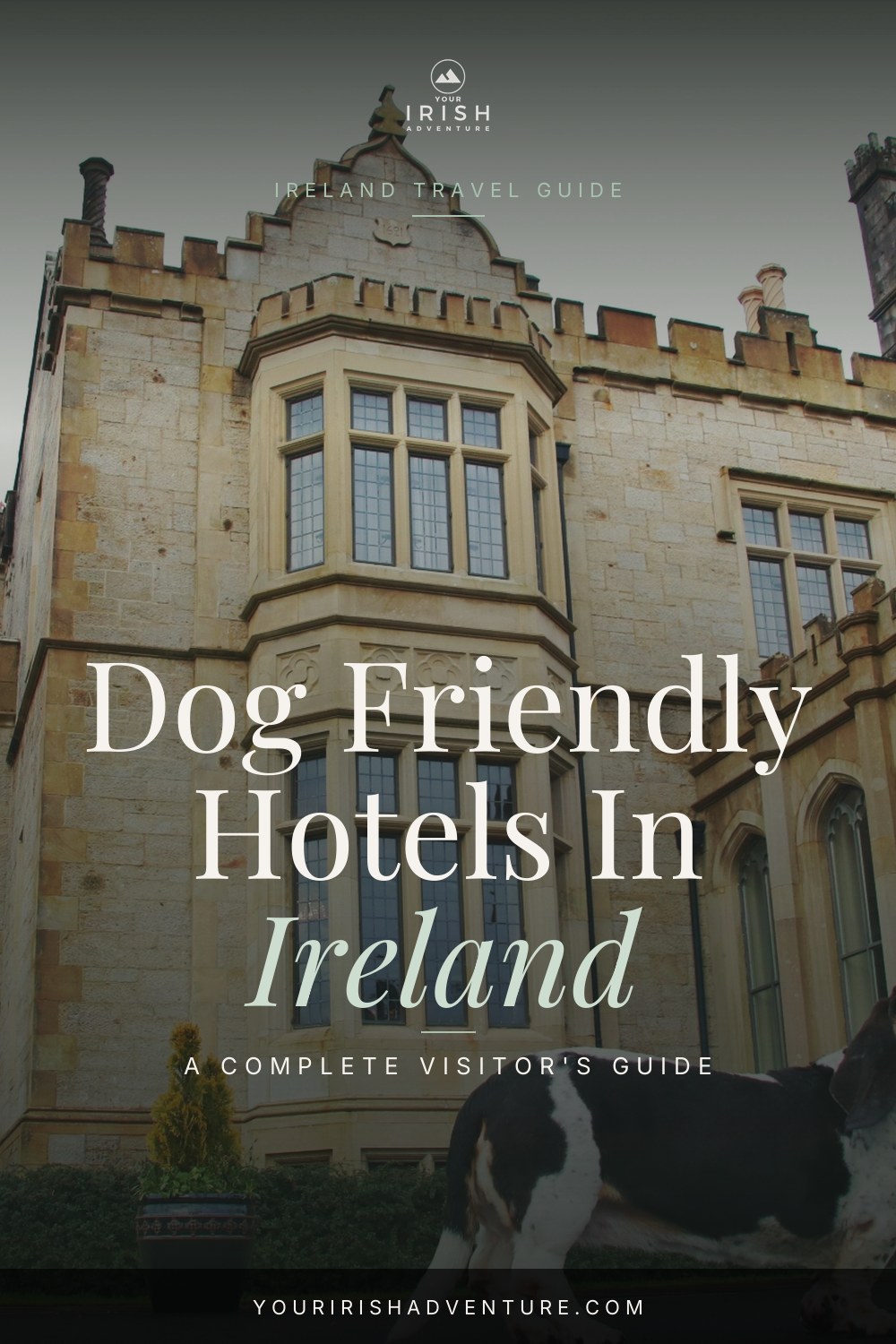 Dog Friendly Hotels In Ireland: A Five-Star Experience In Lough Eske Castle — Pinterest pin