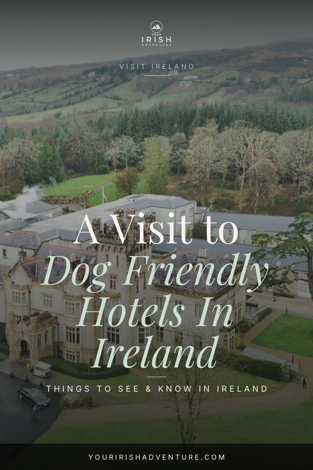 Dog Friendly Hotels In Ireland: A Five-Star Experience In Lough Eske Castle — Pinterest pin