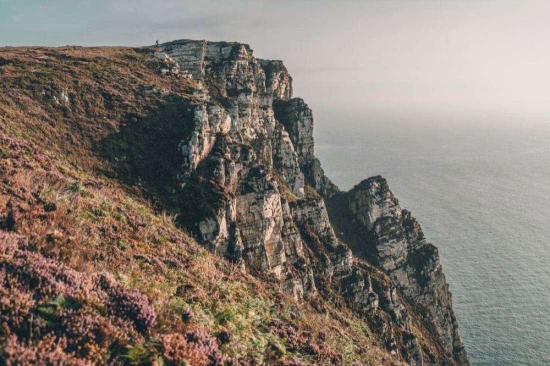 Sea cliffs and heather on the Horn Head loop near Dunfanaghy, Donegal