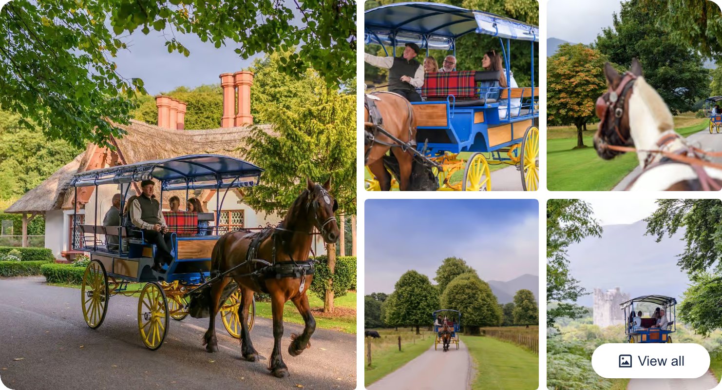 Killarney: 1-Hour Jaunting Car Horse and Carriage Tour