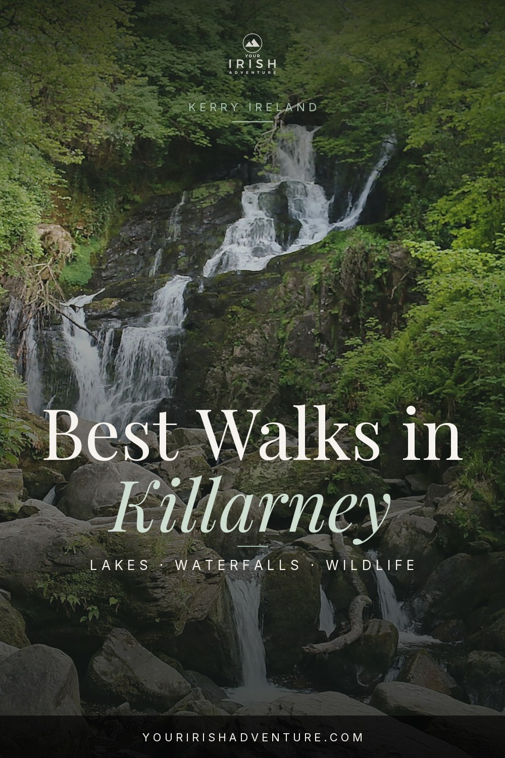 Torc Waterfall and red deer in Killarney National Park Kerry Ireland